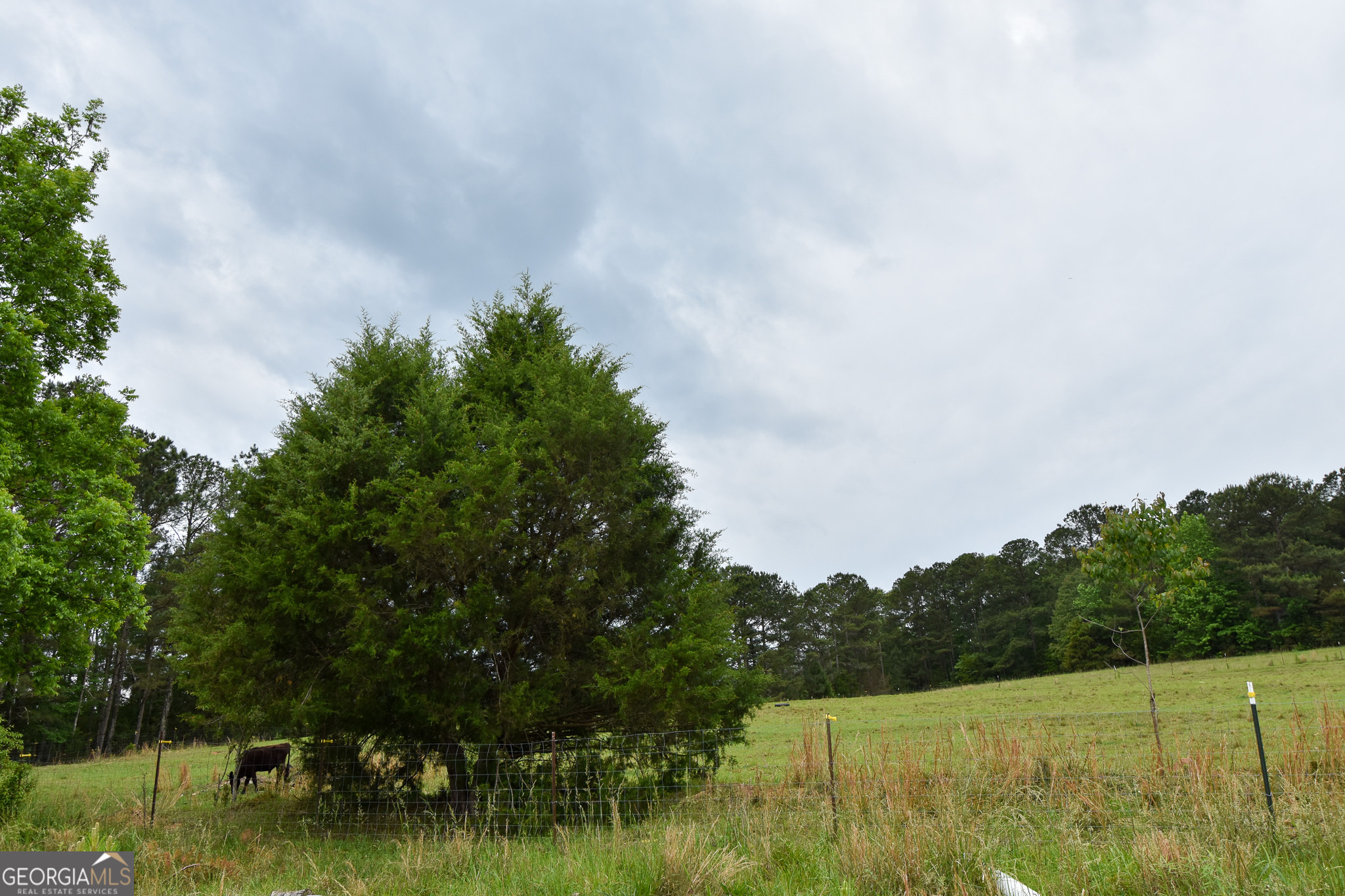 350 Double Bridges Road Thomaston, GA 30286 - Photo 50 of 58