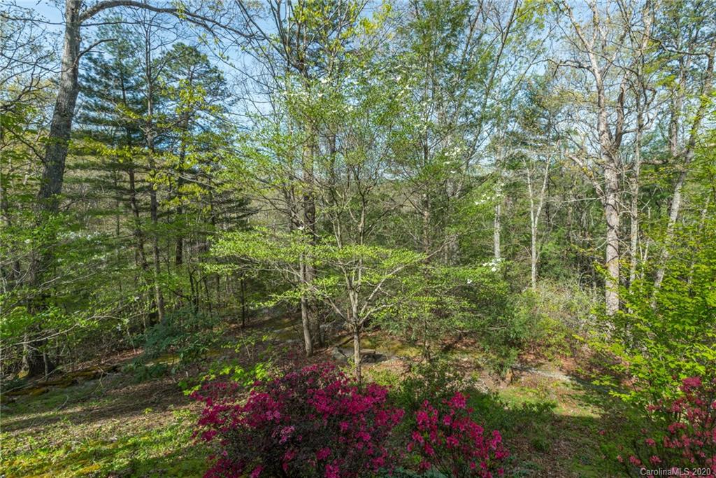 12 Woods Road Fairview, NC 28730 - Photo 41 of 48 Gallery Image 41