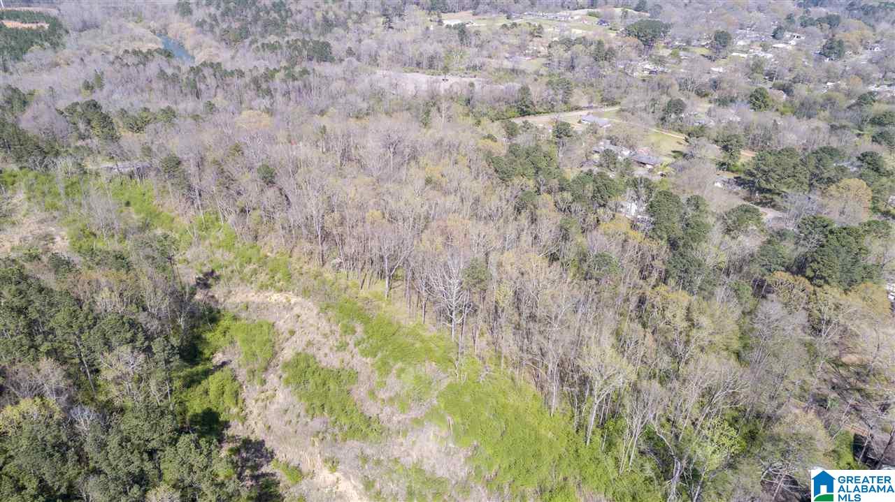 3316 Mulga Loop Road Birmingham, AL 35224 - Photo 42 of 44