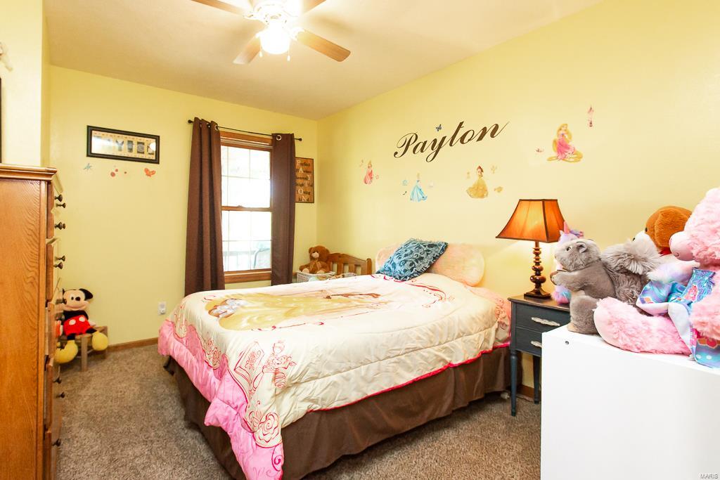 3353 West Line Road Odin, IL 62870 - Photo 11 of 35