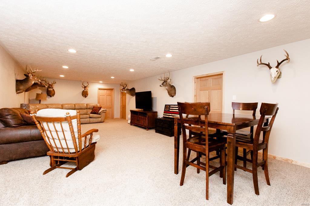 3353 West Line Road Odin, IL 62870 - Photo 17 of 35