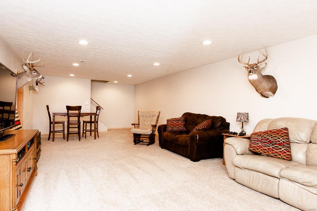 3353 West Line Road Odin, IL 62870 - Photo 18 of 35