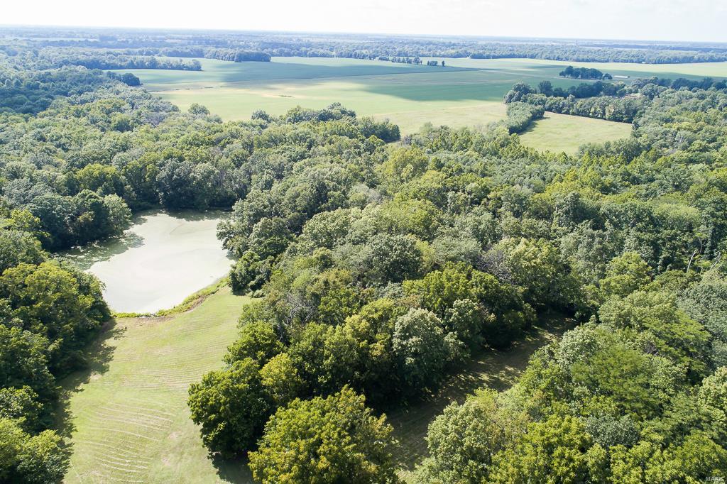 3353 West Line Road Odin, IL 62870 - Photo 32 of 35