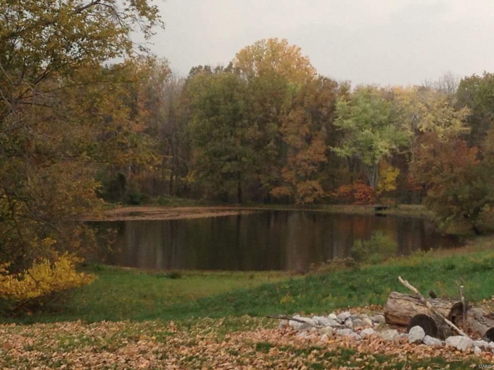3353 West Line Road Odin, IL 62870 - Photo 34 of 35
