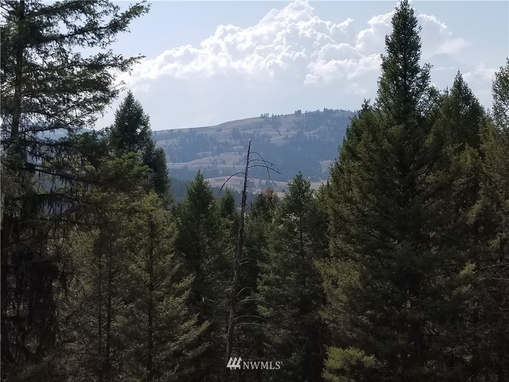 0 Trapline Loop Road Oroville, WA 98844 - Photo 1 of 9