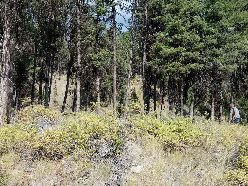 0 Trapline Loop Road Oroville, WA 98844 - Photo 2 of 9
