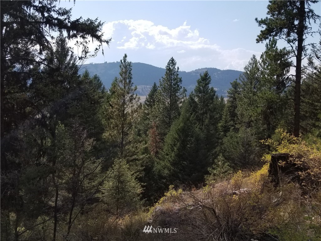 0 Trapline Loop Road Oroville, WA 98844 - Photo 5 of 9