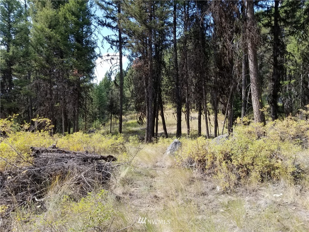 0 Trapline Loop Road Oroville, WA 98844 - Photo 6 of 9