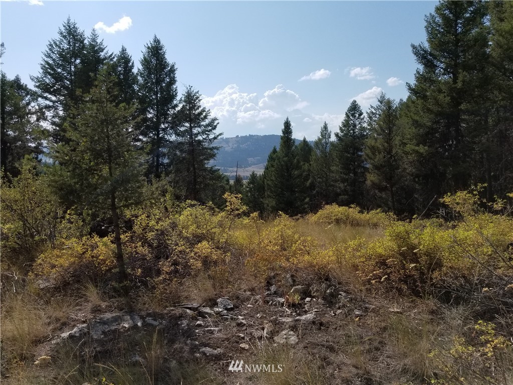 0 Trapline Loop Road Oroville, WA 98844 - Photo 7 of 9