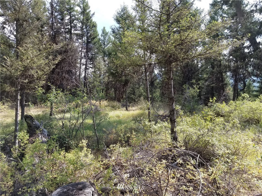 0 Trapline Loop Road Oroville, WA 98844 - Photo 8 of 9