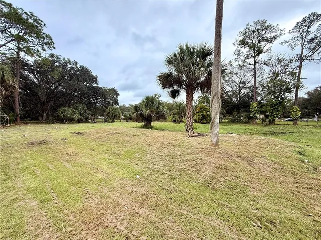 a view of a tree in a yard