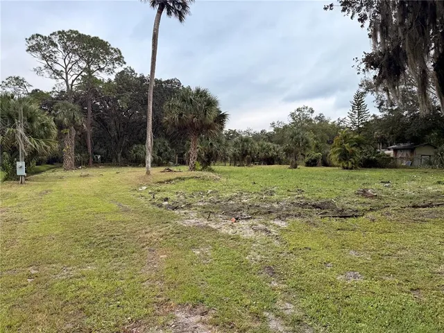 a view of a field with a tree in it