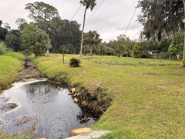 a view of a yard with trees
