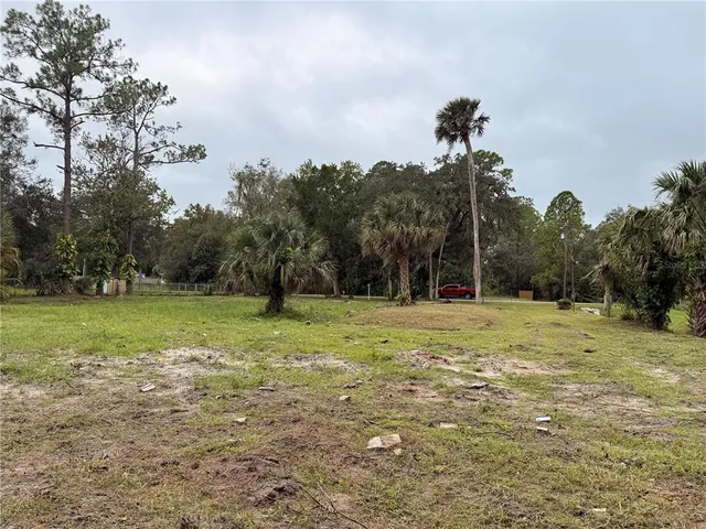 a view of a field with trees
