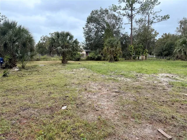 a view of a field with trees in the background
