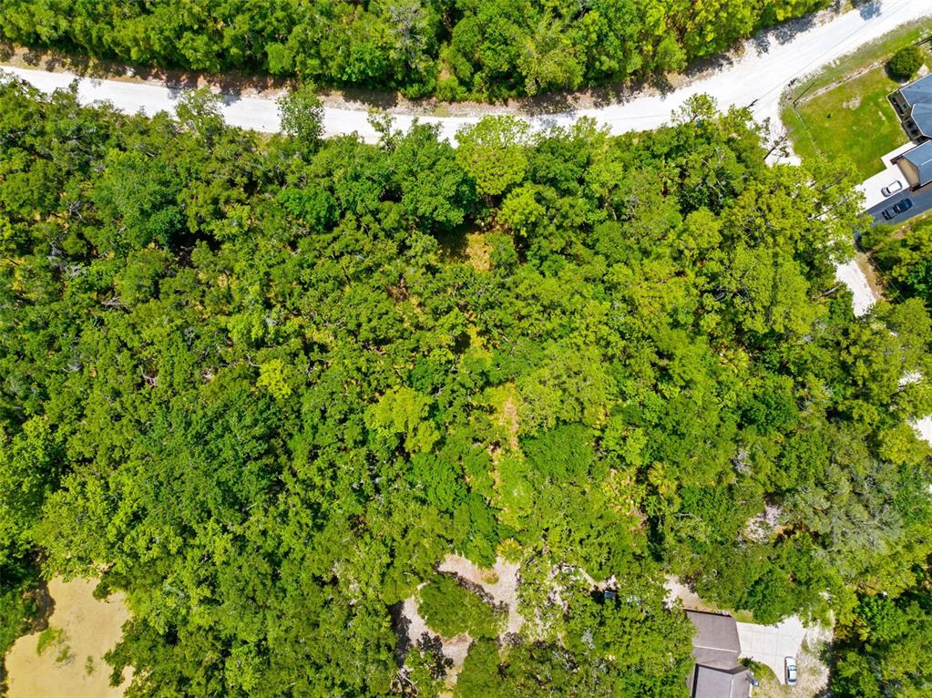 0 Ricebird Avenue, Unit LOT 89 Weeki Wachee, FL 34614 - Photo 6 of 27