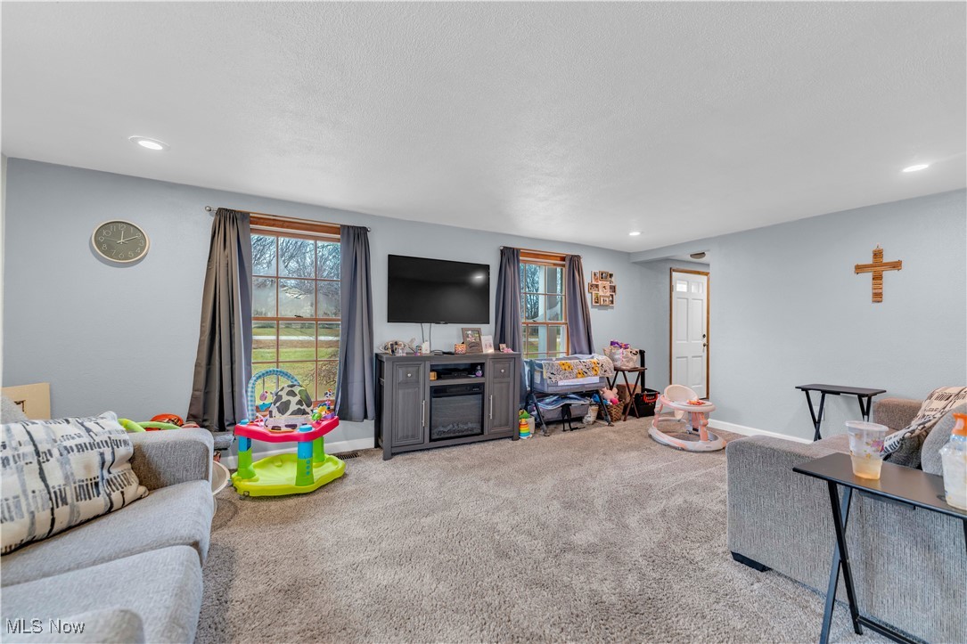 14808 Darrow Road Vermilion, OH 44089 - Photo 9 of 45 Carpeted living room featuring plenty of natural light