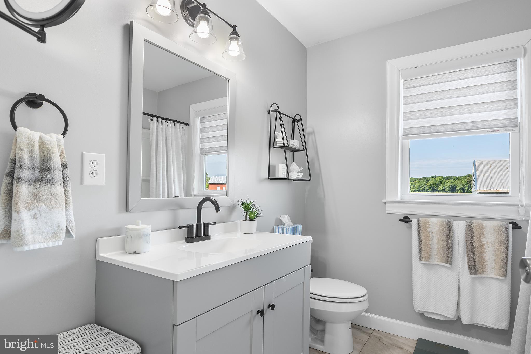 25485 Hignutt Road Denton, MD 21629 - Photo 28 of 52 a bathroom with a toilet sink and mirror
