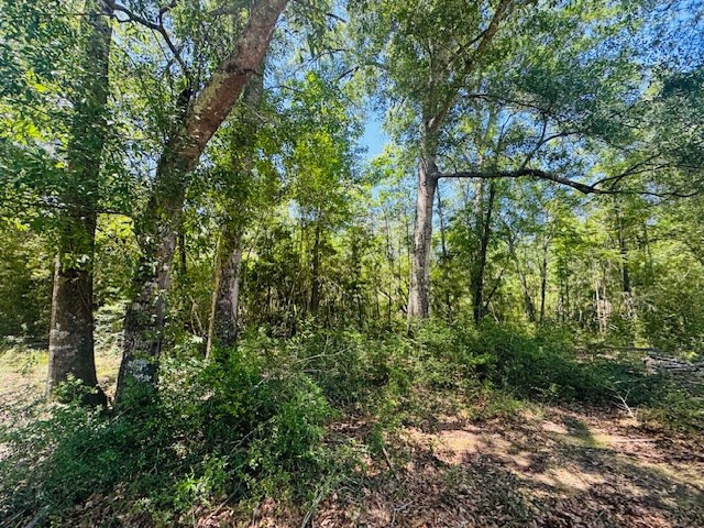 93 Brock Road Tylertown, MS 39667 - Photo 15 of 36 Photo 15