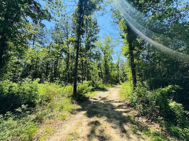 93 Brock Road Tylertown, MS 39667 - Photo 16 of 36 Photo 16