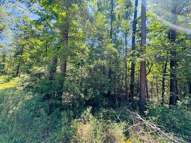 93 Brock Road Tylertown, MS 39667 - Photo 18 of 36 Photo 18
