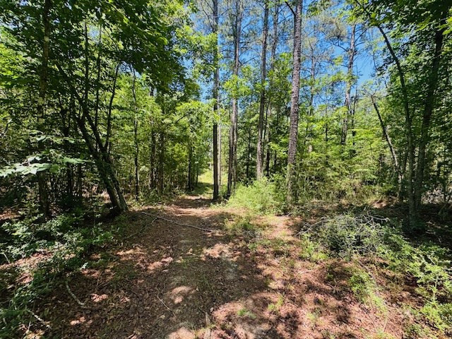 93 Brock Road Tylertown, MS 39667 - Photo 19 of 36 Photo 19