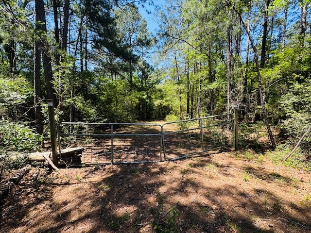 93 Brock Road Tylertown, MS 39667 - Photo 2 of 36 Photo 2