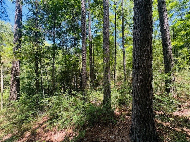 93 Brock Road Tylertown, MS 39667 - Photo 21 of 36 Photo 21