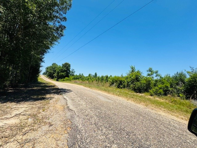 93 Brock Road Tylertown, MS 39667 - Photo 25 of 36 Photo 25