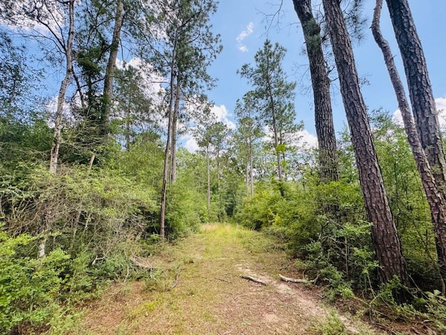 93 Brock Road Tylertown, MS 39667 - Photo 26 of 36 Photo 26