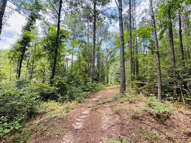 93 Brock Road Tylertown, MS 39667 - Photo 27 of 36 Photo 27