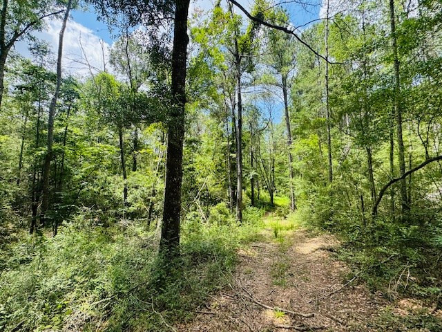 93 Brock Road Tylertown, MS 39667 - Photo 29 of 36 Photo 29
