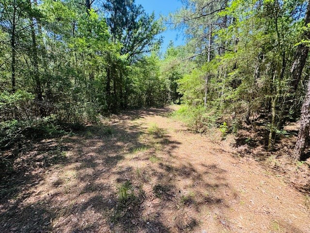 93 Brock Road Tylertown, MS 39667 - Photo 3 of 36 Photo 3