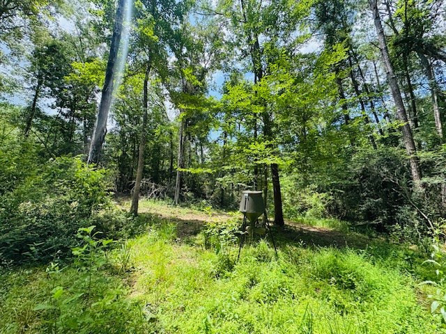 93 Brock Road Tylertown, MS 39667 - Photo 31 of 36 Photo 31