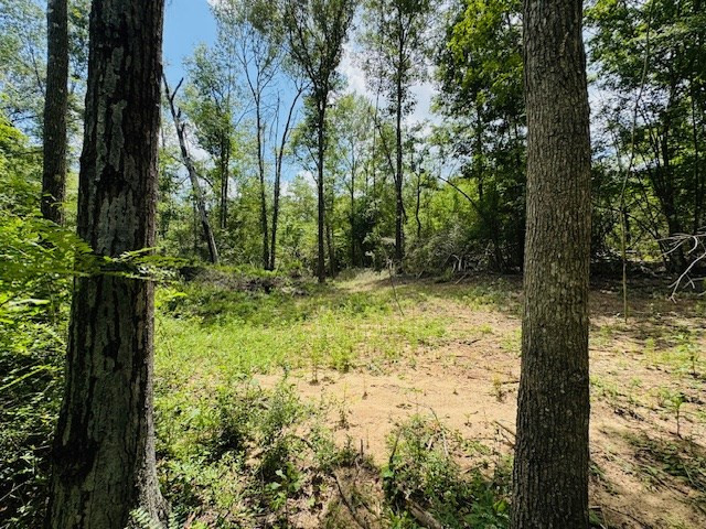 93 Brock Road Tylertown, MS 39667 - Photo 32 of 36 Photo 32