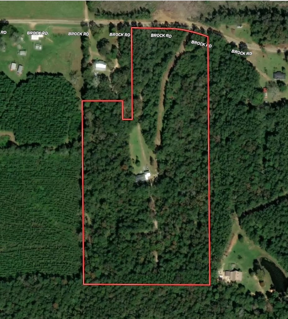 93 Brock Road Tylertown, MS 39667 - Photo 36 of 36 Photo 36