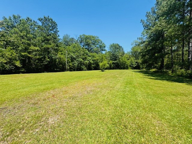 93 Brock Road Tylertown, MS 39667 - Photo 5 of 36 Photo 5