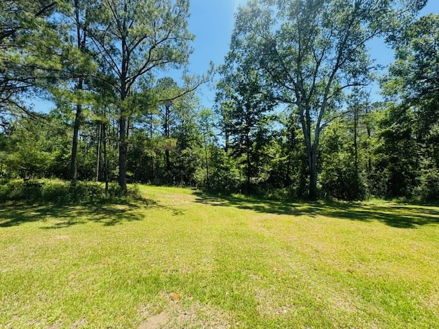 93 Brock Road Tylertown, MS 39667 - Photo 6 of 36 Photo 6