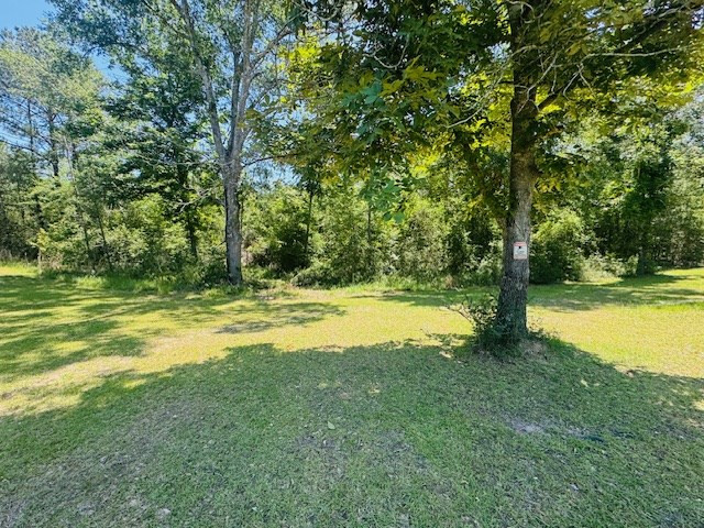 93 Brock Road Tylertown, MS 39667 - Photo 7 of 36 Photo 7