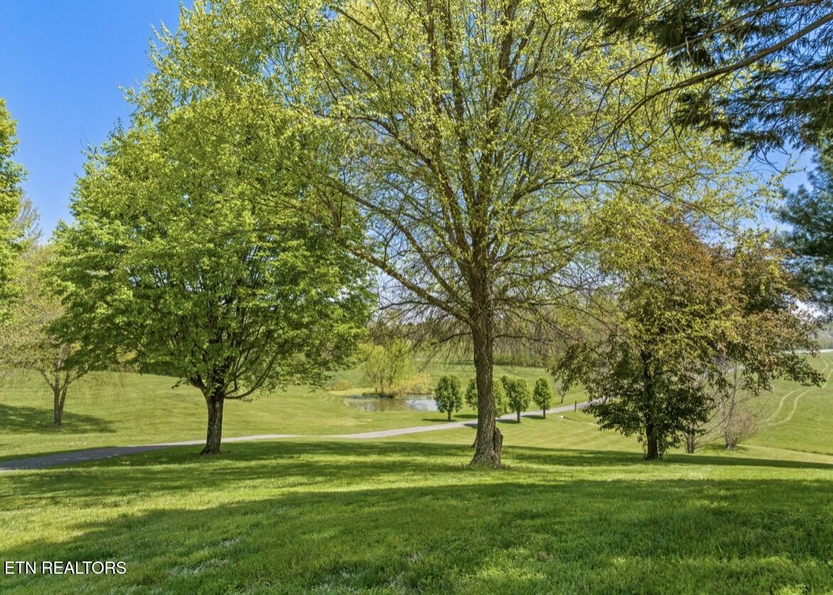 2041 Witt Road White Pine, TN 37890 - Photo 26 of 49