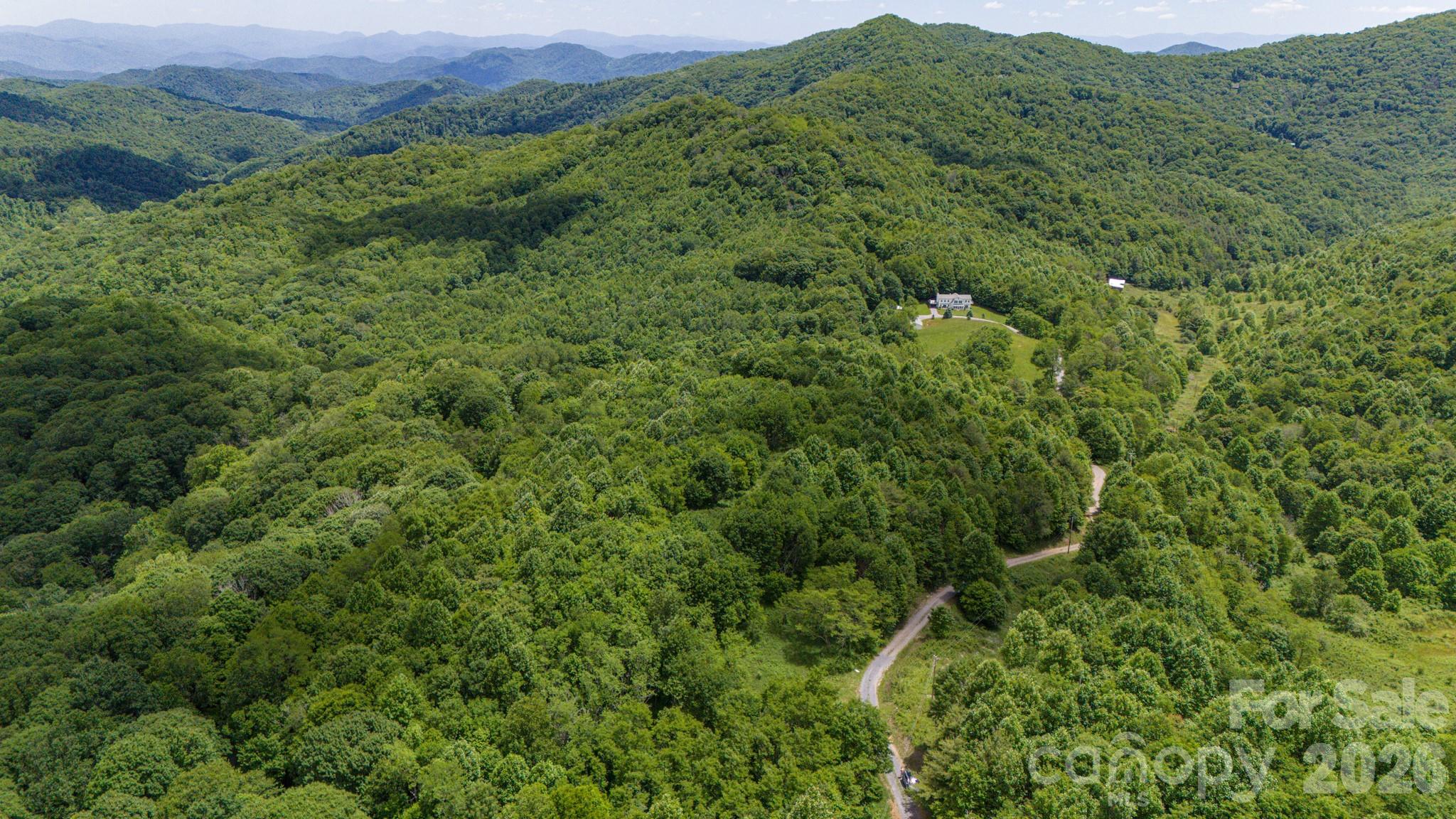 2 Turkey Trot Road Clyde, NC 28721 - Photo 10 of 48