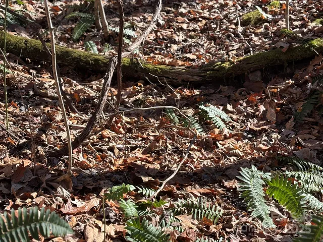 $295,000 | 520 Renfro Rd Green Mountain, Green Mountain, NC 28740