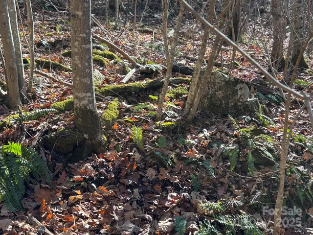 $295,000 | 520 Renfro Rd Green Mountain, Green Mountain, NC 28740