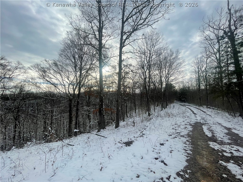 0 Grouse Ridge Sumerco, WV 25567 - Photo 4 of 17 Gallery Image 4