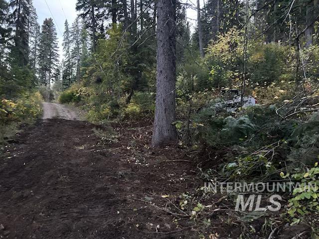 1601 Bear Trail Loop Cascade, ID 83611 - Photo 24 of 26
