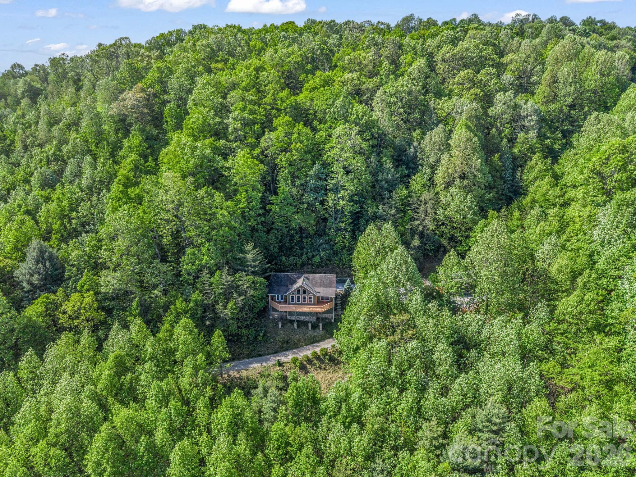 603 Pace Mountain Road Saluda, NC 28773 - Photo 35 of 44 Gallery Image 35