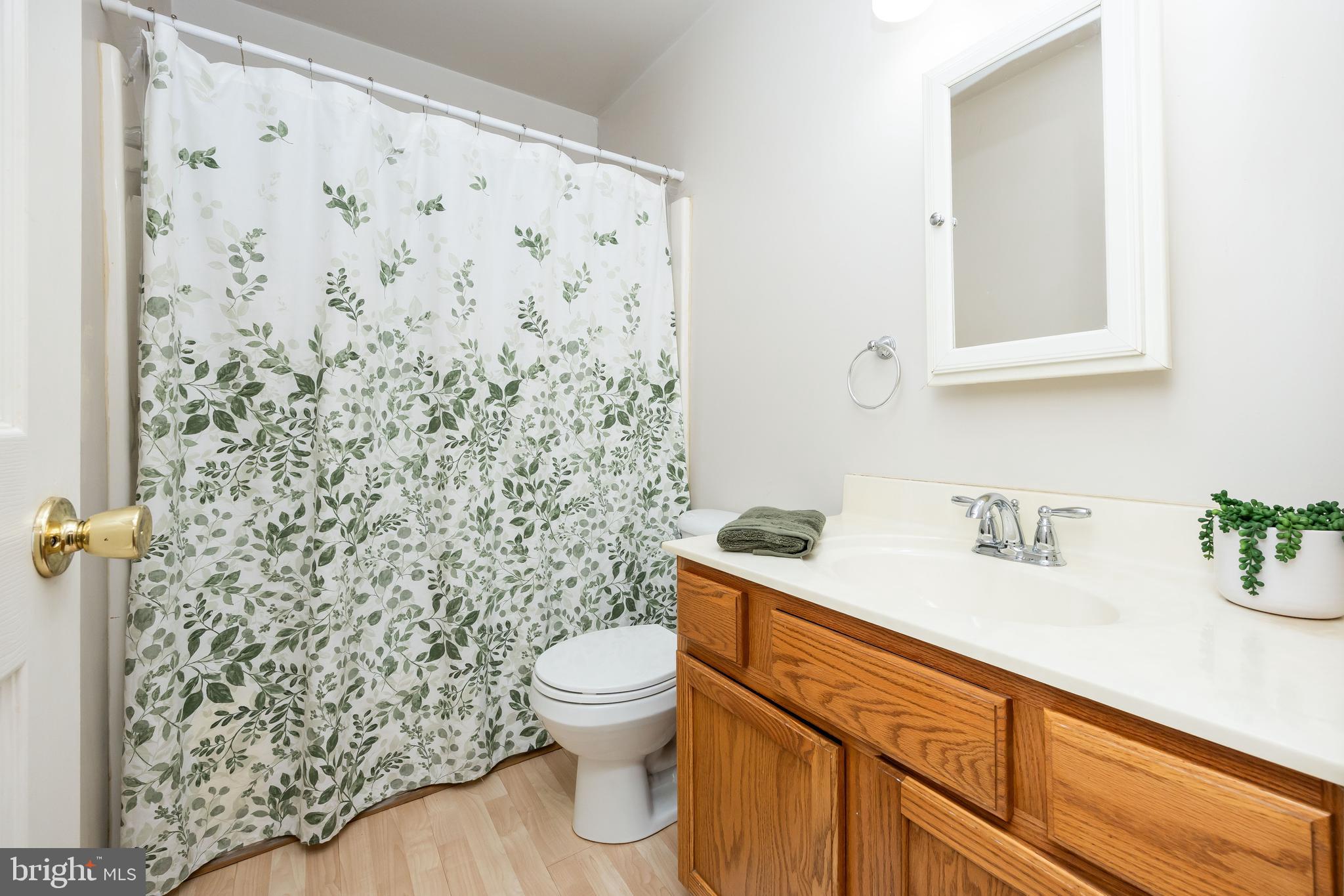 23545 Taylors Trail Road Mardela Springs, MD 21837 - Photo 23 of 52 Hall Full Bathroom