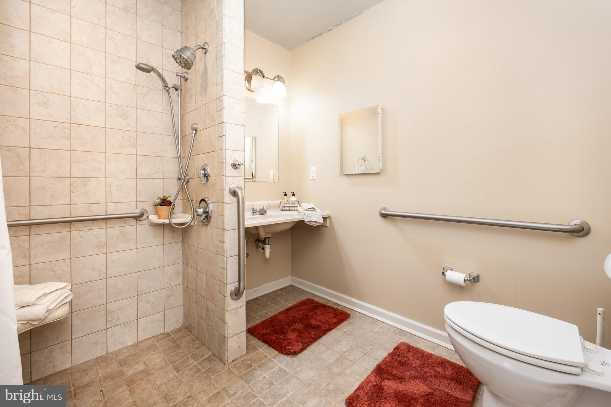 23545 Taylors Trail Road Mardela Springs, MD 21837 - Photo 27 of 52 Handicap Bathroom