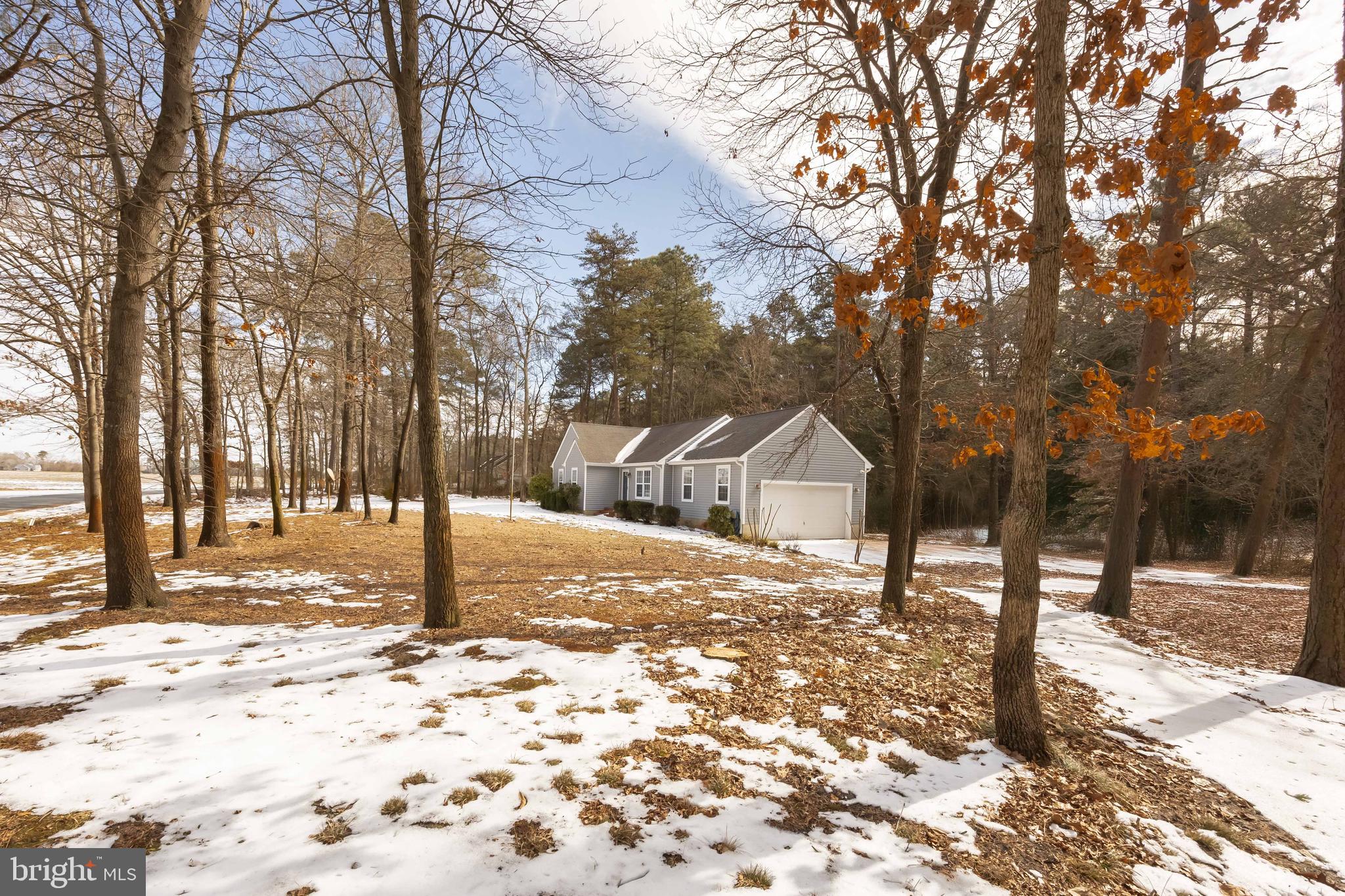 23545 Taylors Trail Road Mardela Springs, MD 21837 - Photo 44 of 52 Wooded Setting