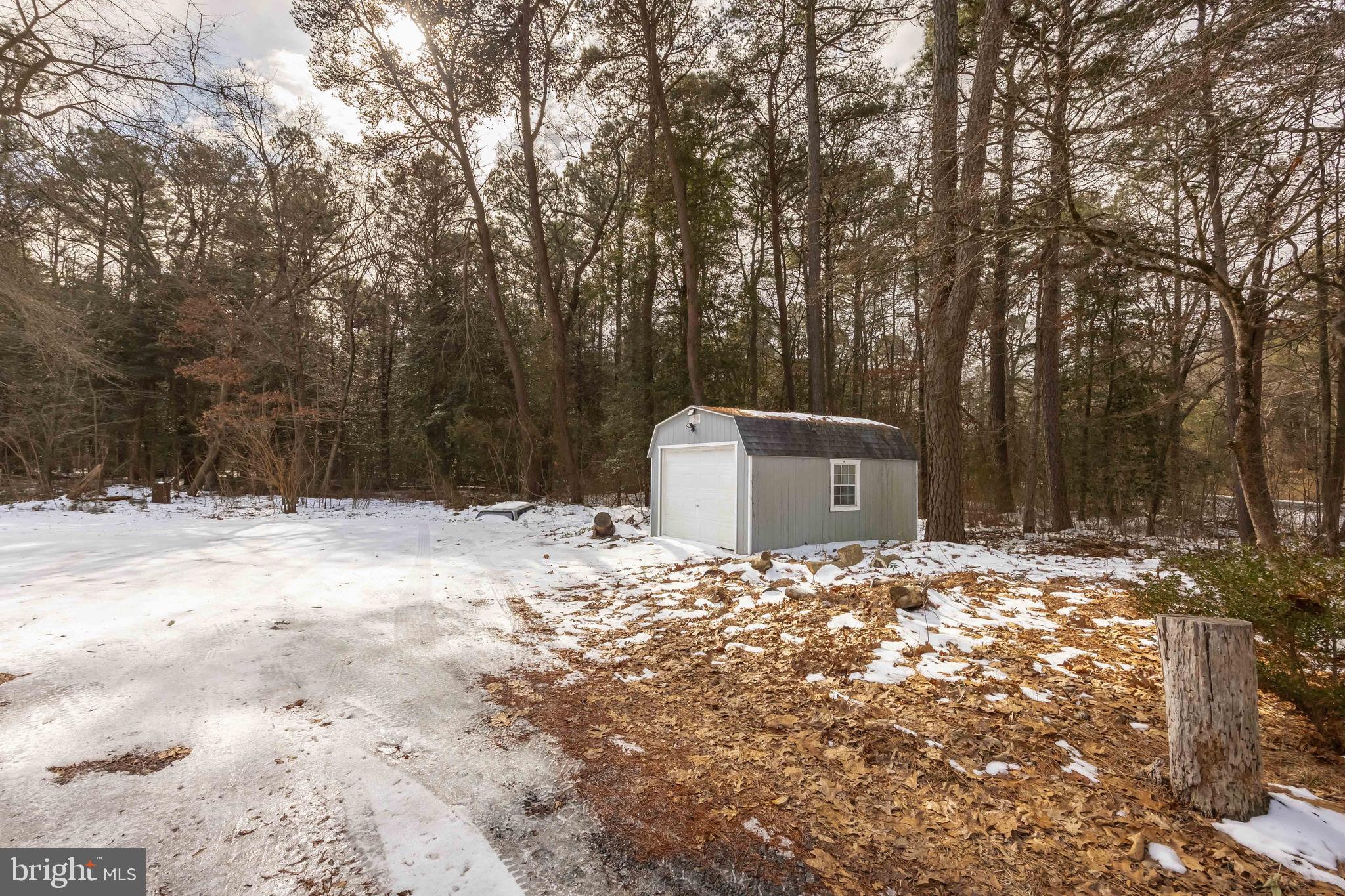 23545 Taylors Trail Road Mardela Springs, MD 21837 - Photo 51 of 52 Storage Shed